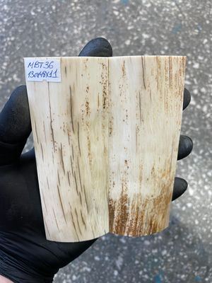 mammoth bark tusk pair scales MBT36