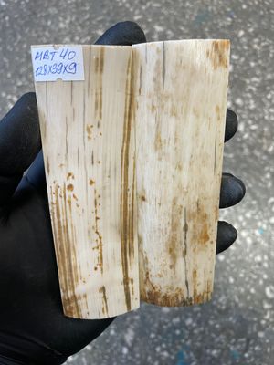 mammoth bark tusk pair scales MBT40