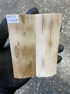 mammoth bark tusk pair scales MBT43