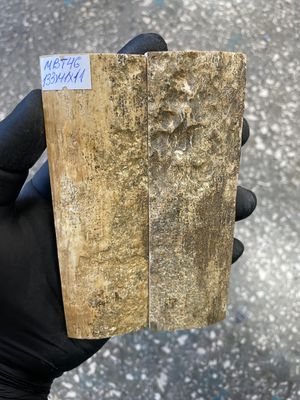 mammoth bark tusk pair scales MBT46