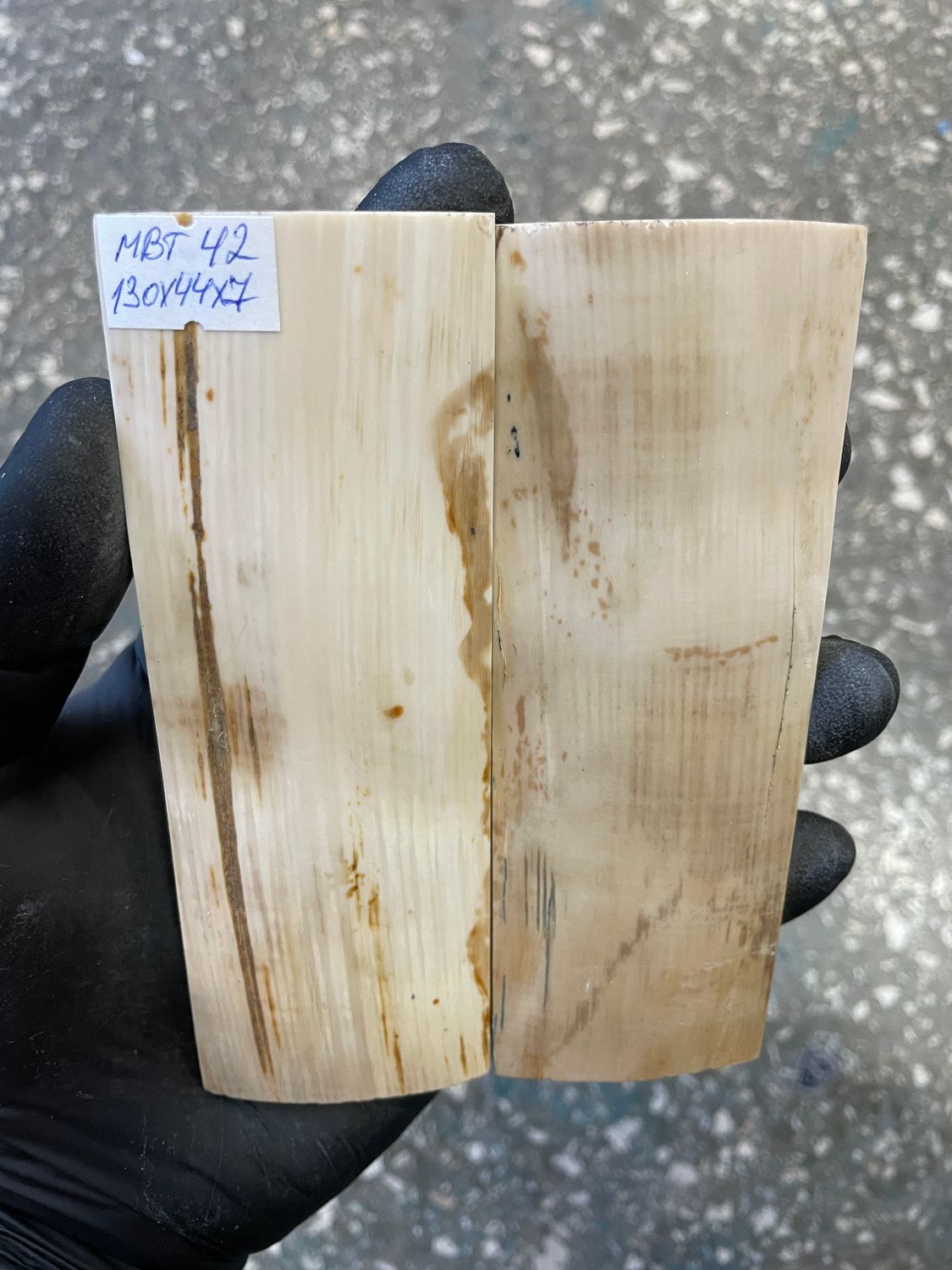 mammoth bark tusk pair scales MBT42