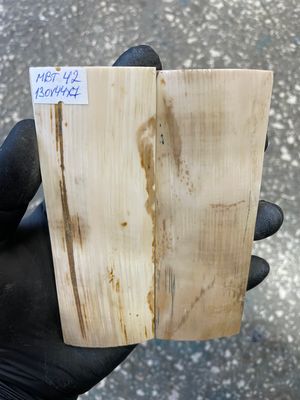 mammoth bark tusk pair scales MBT42