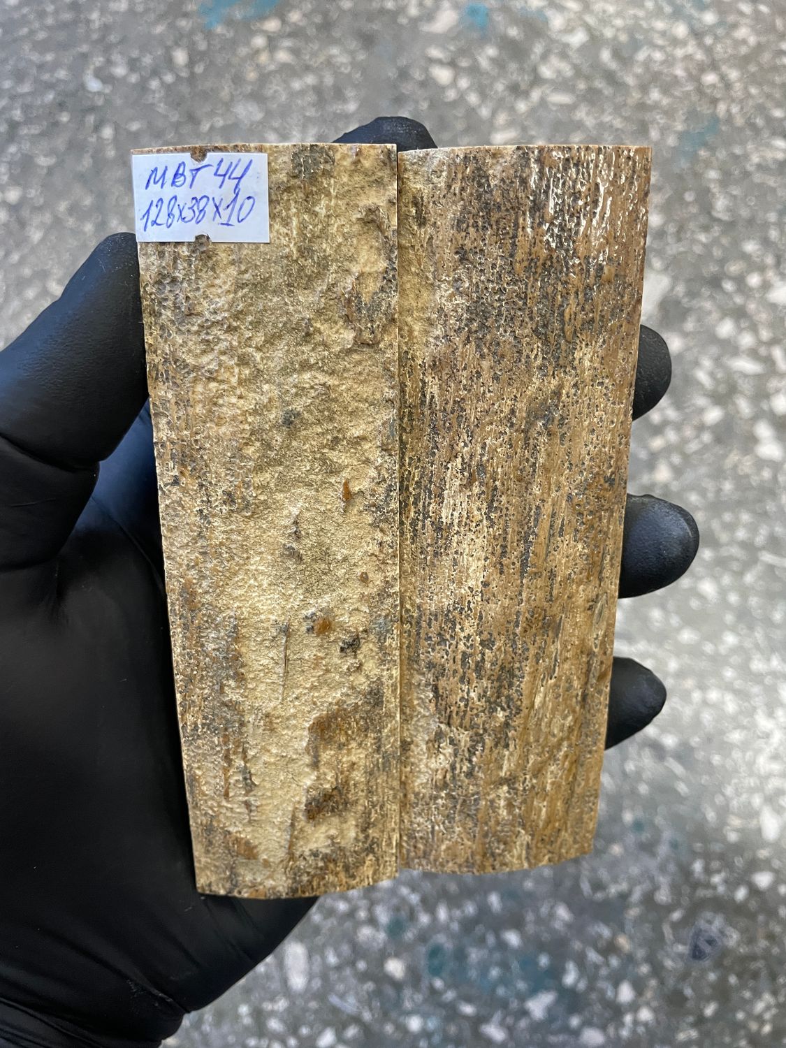 mammoth bark tusk pair scales MBT44