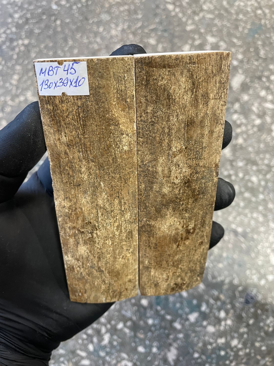 mammoth bark tusk pair scales MBT45