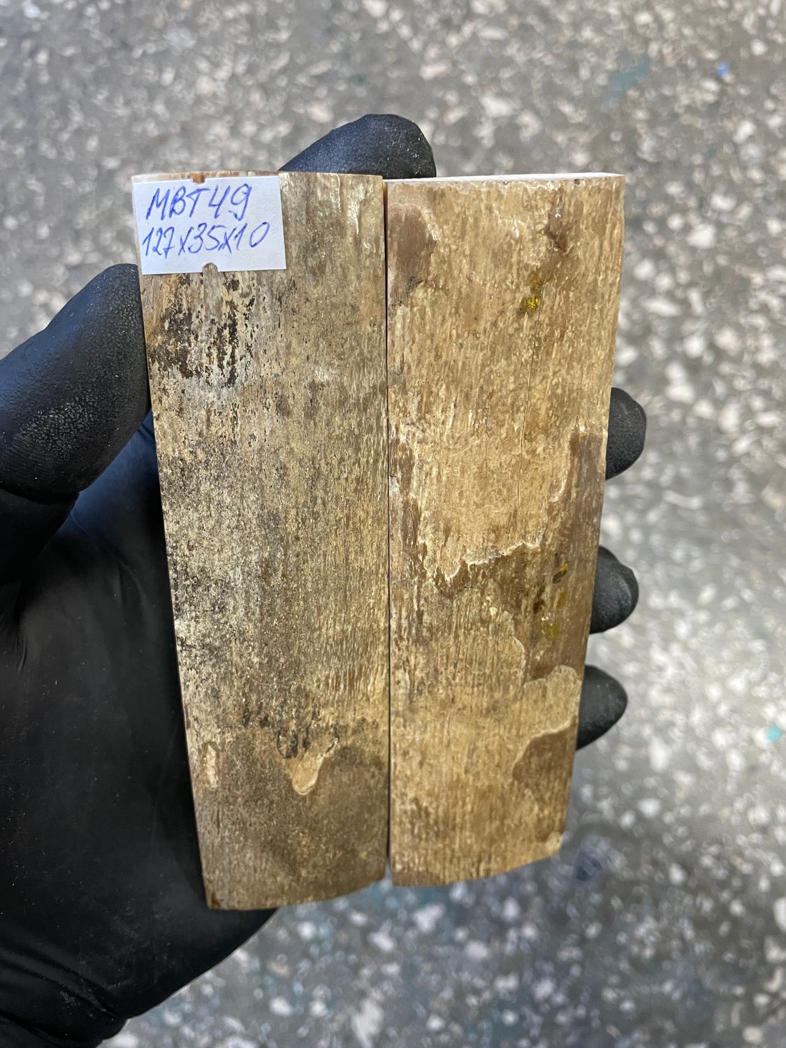 mammoth bark tusk pair scales MBT49