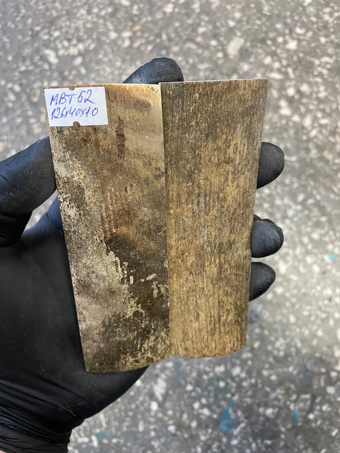 mammoth bark tusk pair scales MBT52