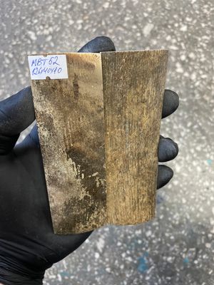 mammoth bark tusk pair scales MBT52