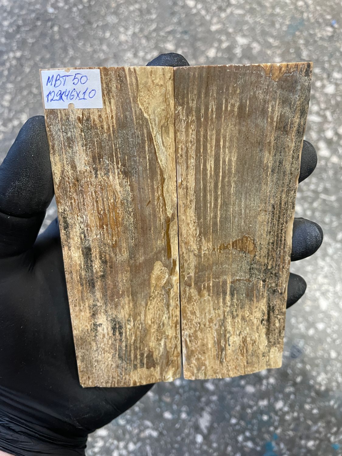 mammoth bark tusk pair scales MBT50