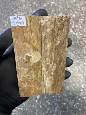 mammoth bark tusk pair scales MBT51