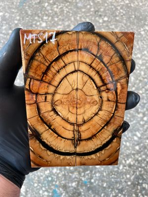 Mammoth tusk knife scales 5.31-1.81-0.39 inch MTS17