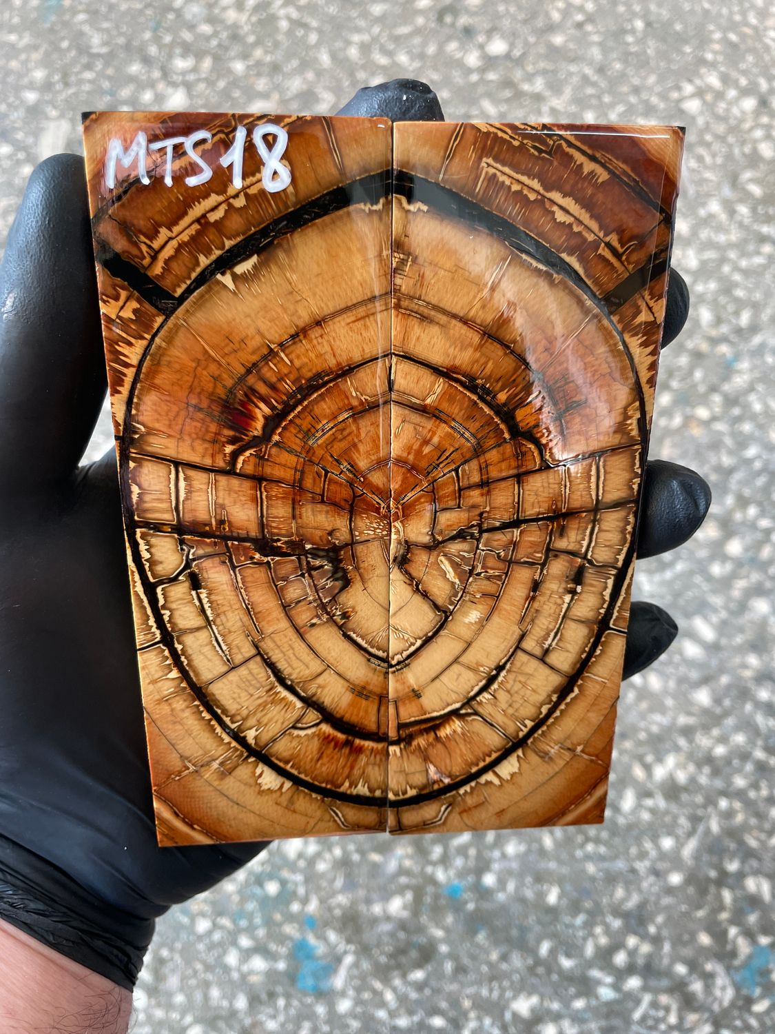 Mammoth tusk knife scales 5.31-1.85-0.39 inch MTS18