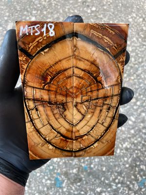 Mammoth tusk knife scales 5.31-1.85-0.39 inch MTS18