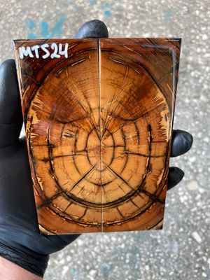 Mammoth tusk knife scales 5.31-1.85-0.39 inch MTS24