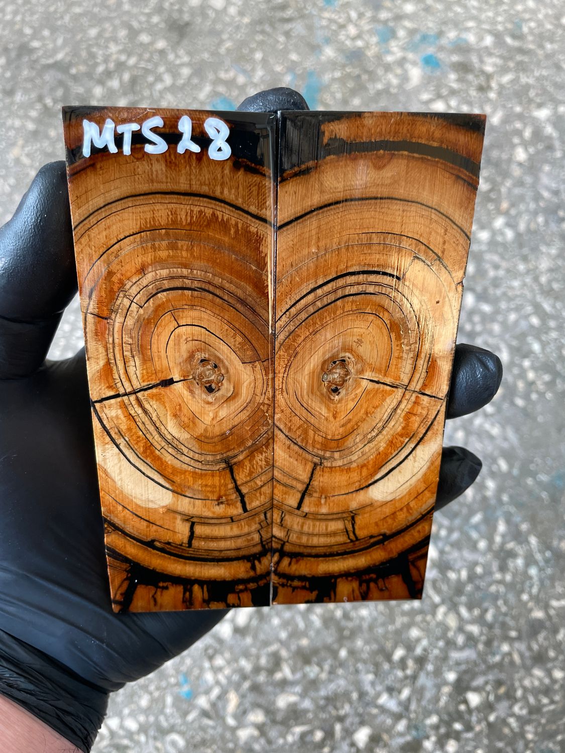 Mammoth tusk knife scales 5.11-1.73-0.39 inch MTS28