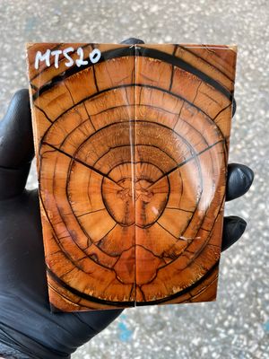 Mammoth tusk knife scales 5.31-1.81-0.43 inch MTS20