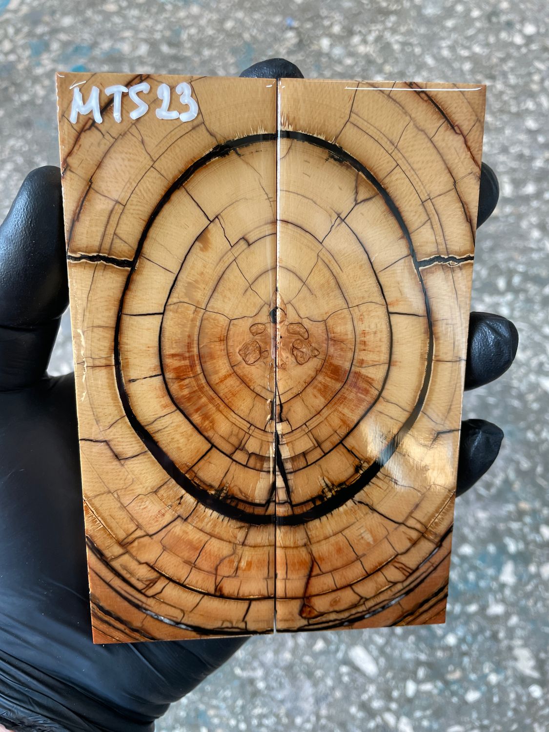 Mammoth tusk knife scales 5.31-1.85-0.39 inch MTS23