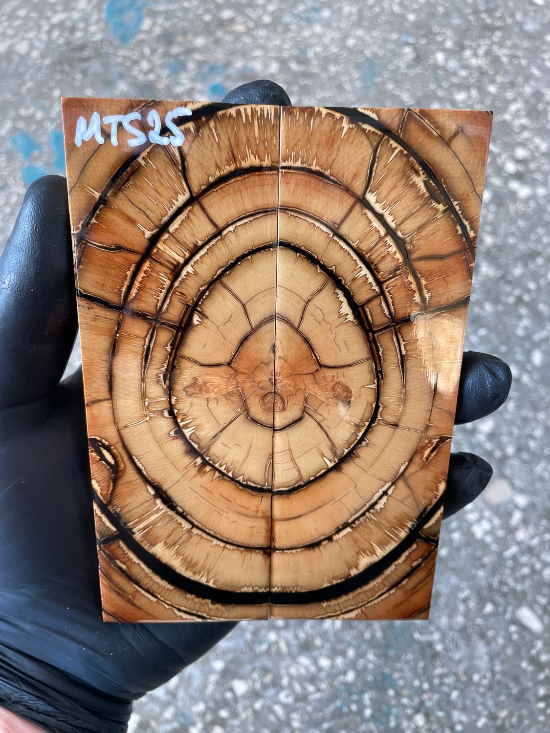 Mammoth tusk knife scales 5.31-1.81-0.43 inch MTS25