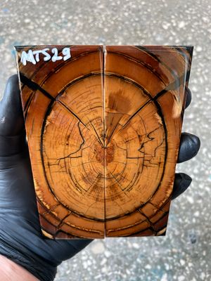 Mammoth tusk knife scales 5.31-1.81-0.39 inch MTS29