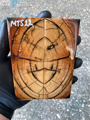 Mammoth tusk knife scales 5.11-1.81-0.39 inch MTS22