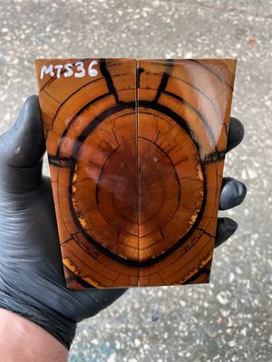 Mammoth tusk knife scales 5.31-1.81-0.39 inch MTS36