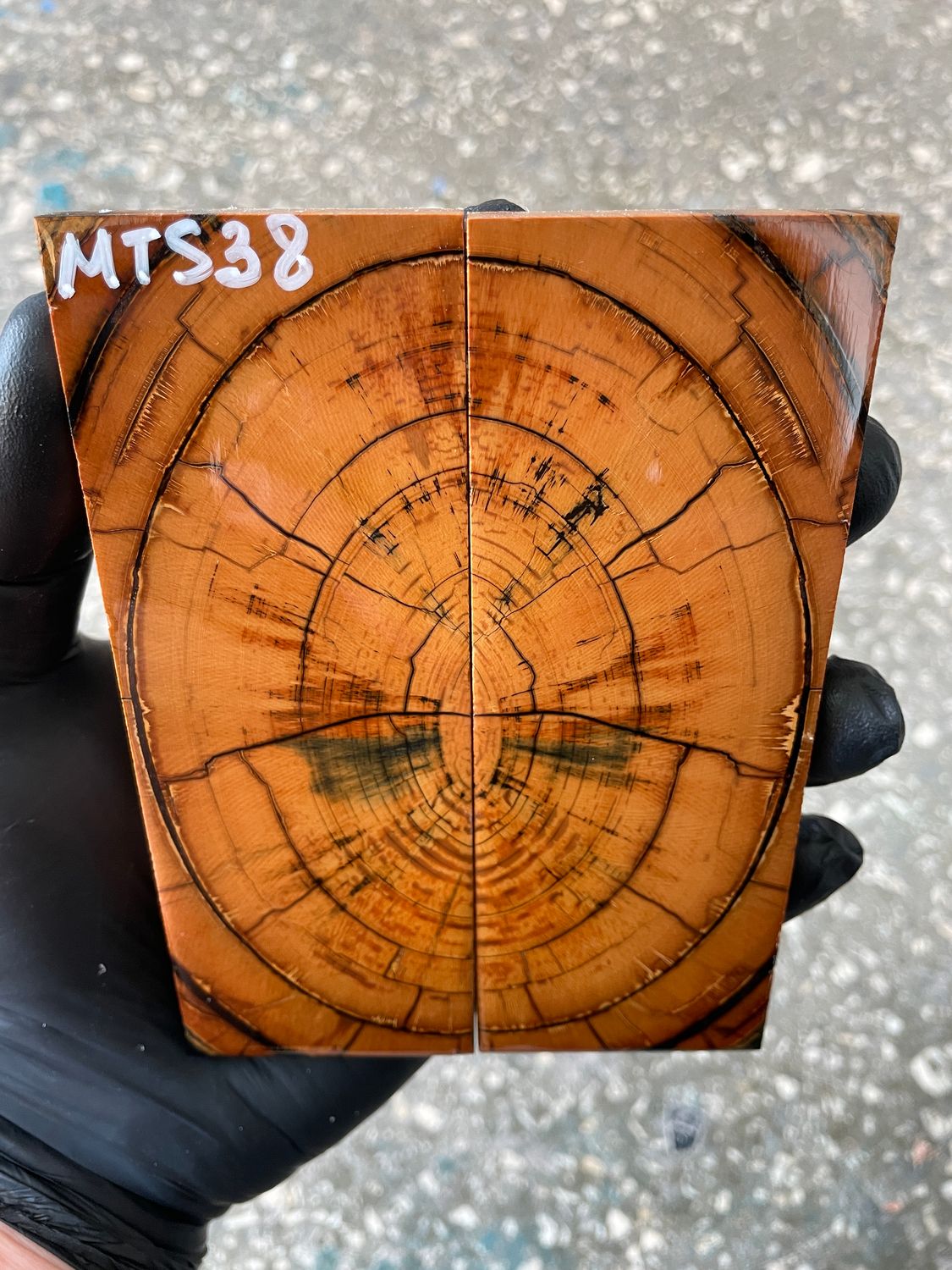 stabilized mammoth tusk knife scales pair fossil handle material MTS38