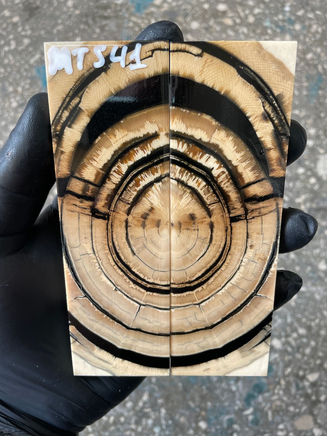 Mammoth tusk knife scales 5.23-1.69-0.47 inch MTS41