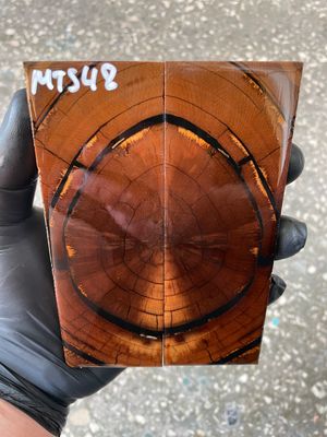 Mammoth tusk knife scales 5.31-1.77-0.39 inch MTS48