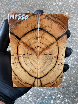 Mammoth tusk knife scales 5.11-1.81-0.39 inch MTS50