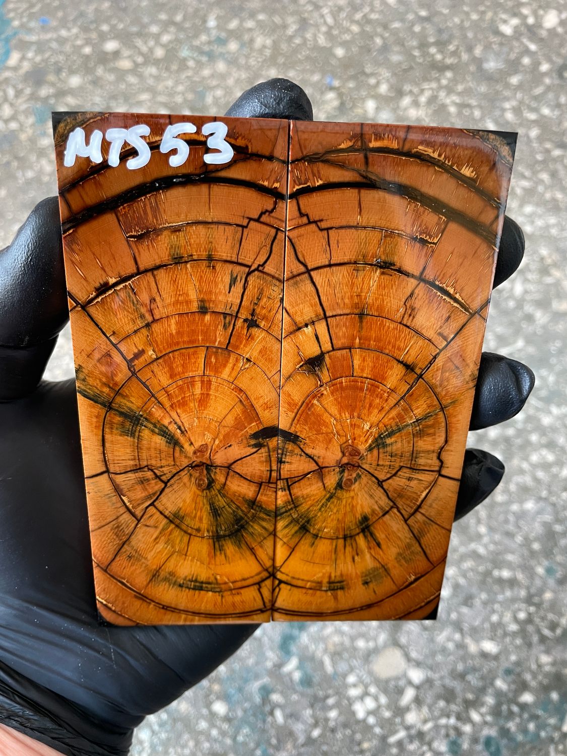 Mammoth tusk knife scales 4.96-1.85-0.39 inch MTS53