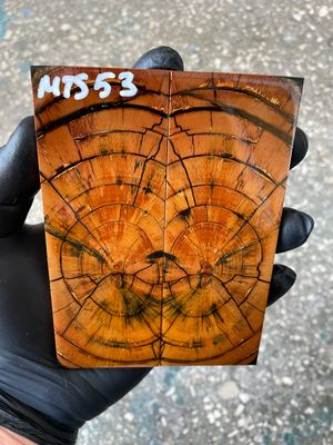 Mammoth tusk knife scales 4.96-1.85-0.39 inch MTS53