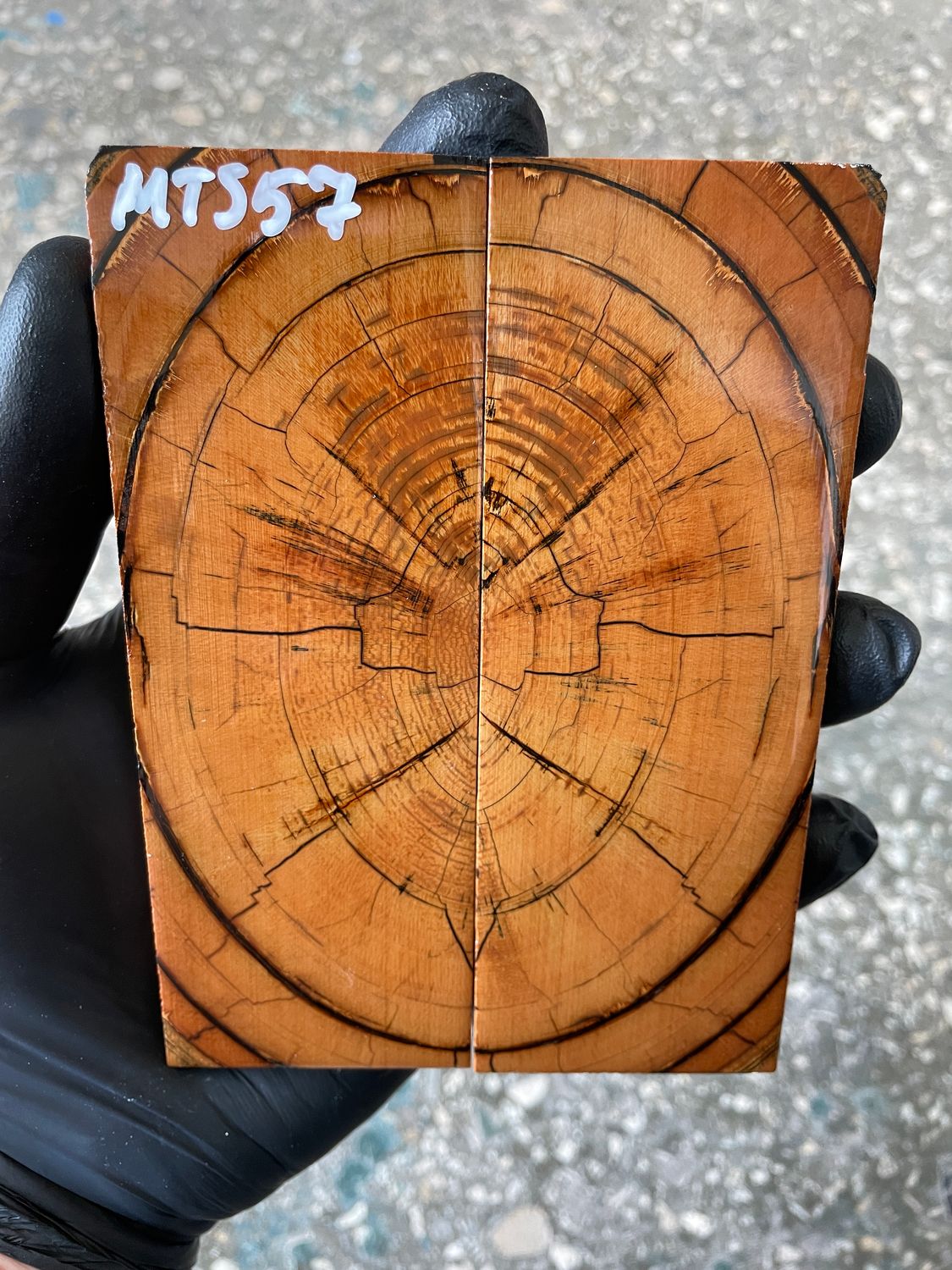 Mammoth tusk knife scales 4.96-1.77-0.39 inch MTS57