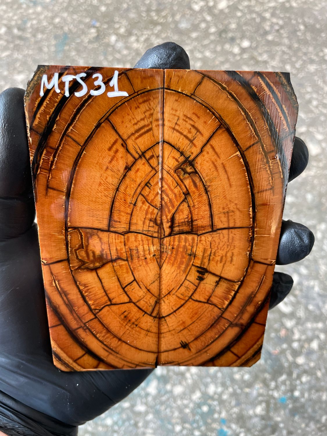 Mammoth tusk knife scales 5.31-1.81-0.39 inch MTS31