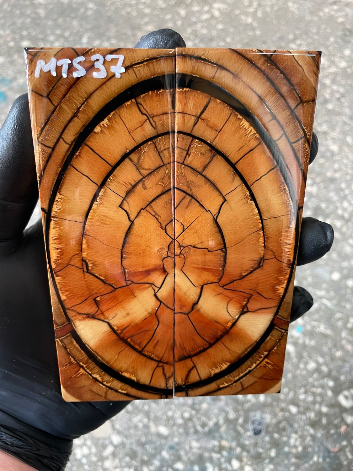 Mammoth tusk knife scales 5.31-1.81-0.39 inch MTS37