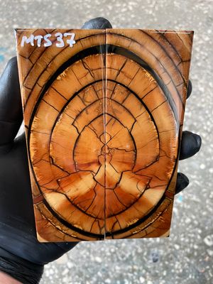 Mammoth tusk knife scales 5.31-1.81-0.39 inch MTS37