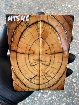 Mammoth tusk knife scales 5.19-1.81-0.43 inch MTS46