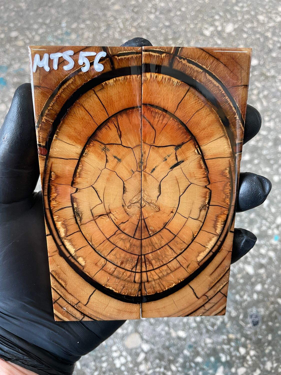 Mammoth tusk knife scales 5.31-1.81-0.39 inch MTS56