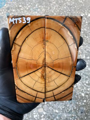 Mammoth tusk knife scales 5.31-1.81-0.39 inch MTS39