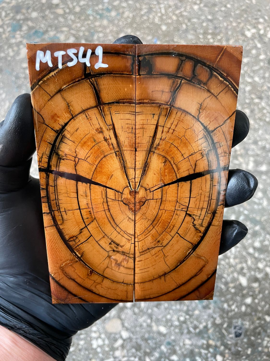 Mammoth tusk knife scales 5.35-1.81-0.39 inch MTS42