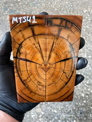 Mammoth tusk knife scales 5.35-1.81-0.39 inch MTS42