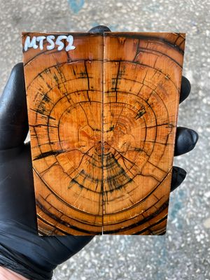 Mammoth tusk knife scales 5.27-1.77-0.39 inch MTS52