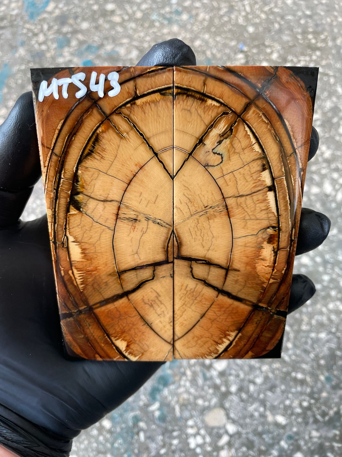 Mammoth tusk knife scales 4.56-1.81-0.39 inch MTS43