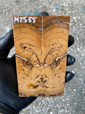 Mammoth tusk knife scales 5.07-1.53-0.47 inch MTS55