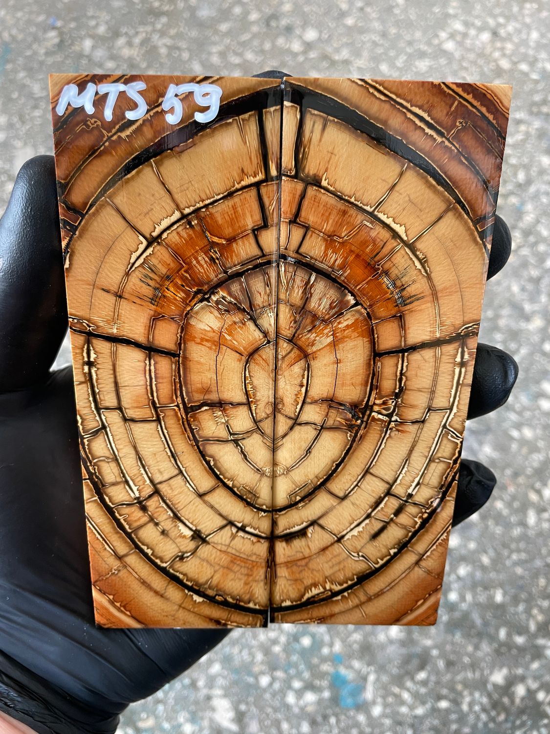 Mammoth tusk knife scales 5.31-1.81-0.43 inch MTS59