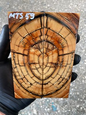 Mammoth tusk knife scales 5.31-1.81-0.43 inch MTS59