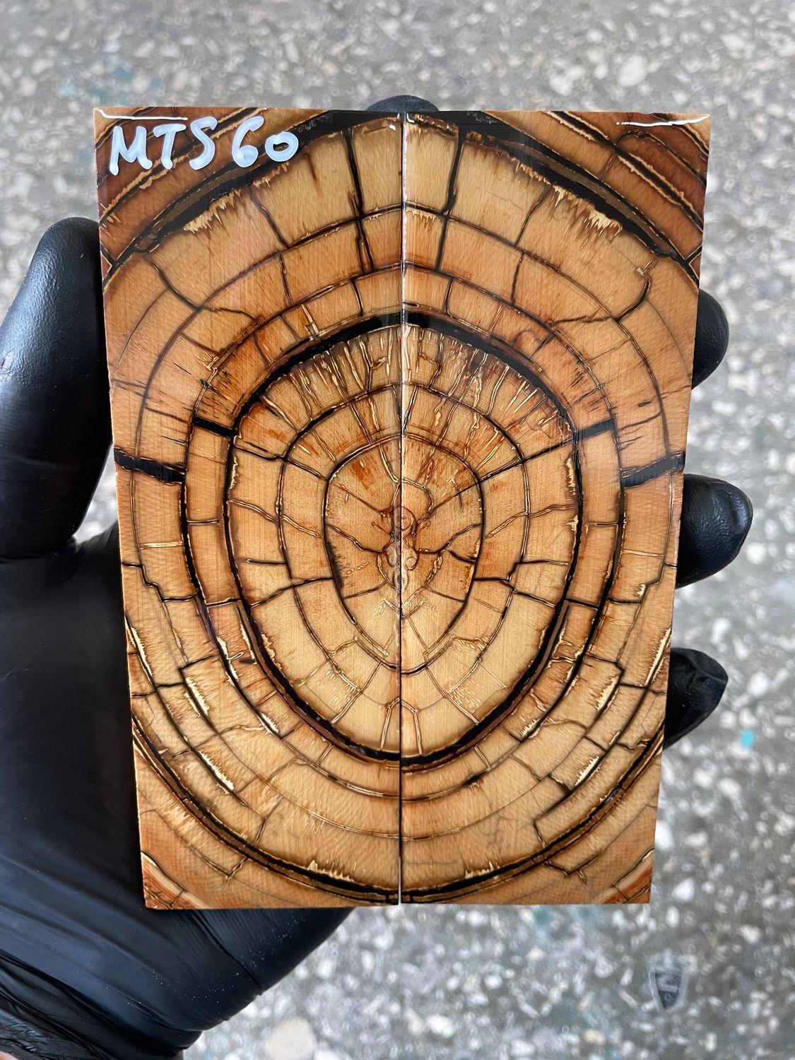 Mammoth tusk knife scales 5.31-1.81-0.43 inch MTS60