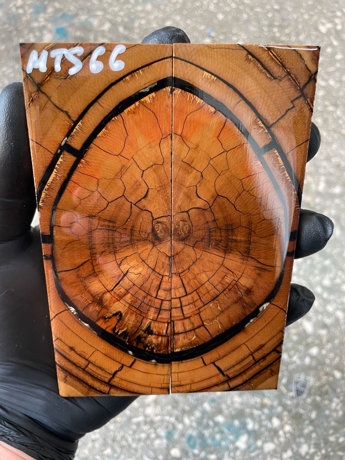 Mammoth tusk knife scales 5.31-1.81-0.39 inch MTS66