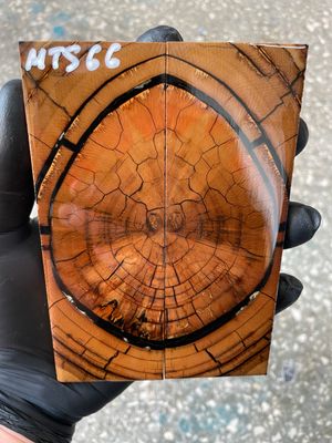 stabilized mammoth tusk knife scales pair fossil handle material MTS66