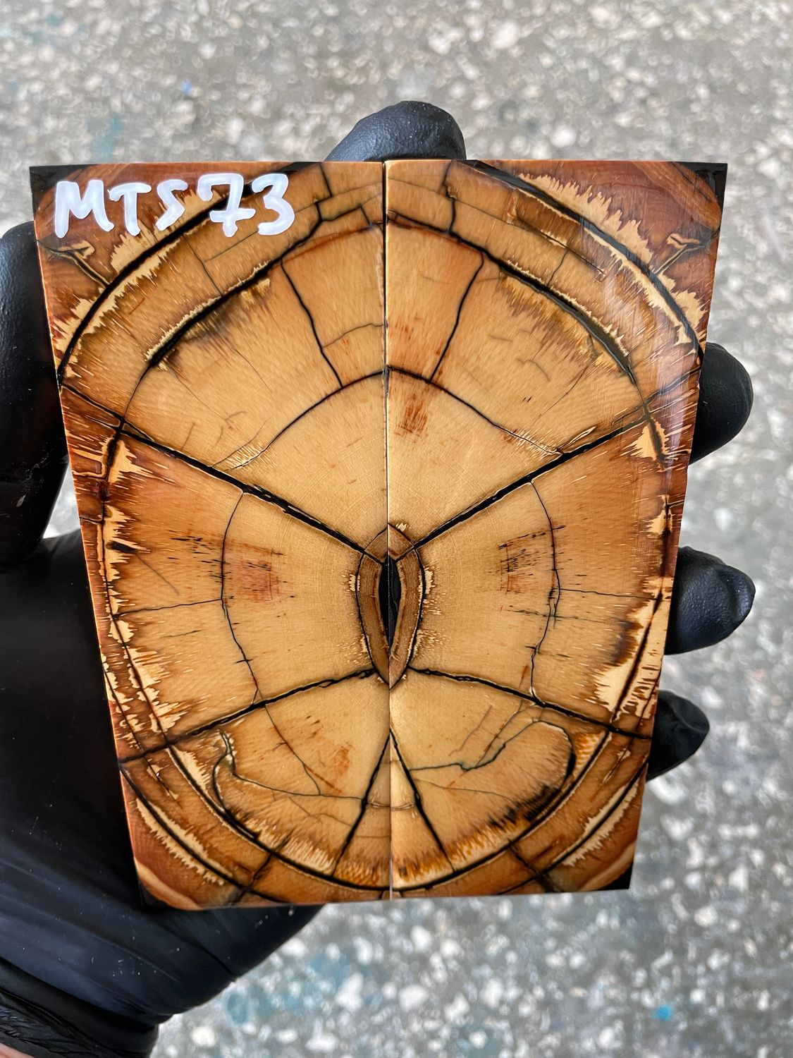 Mammoth tusk knife scales 5.07-1.85-0.39 inch MTS73