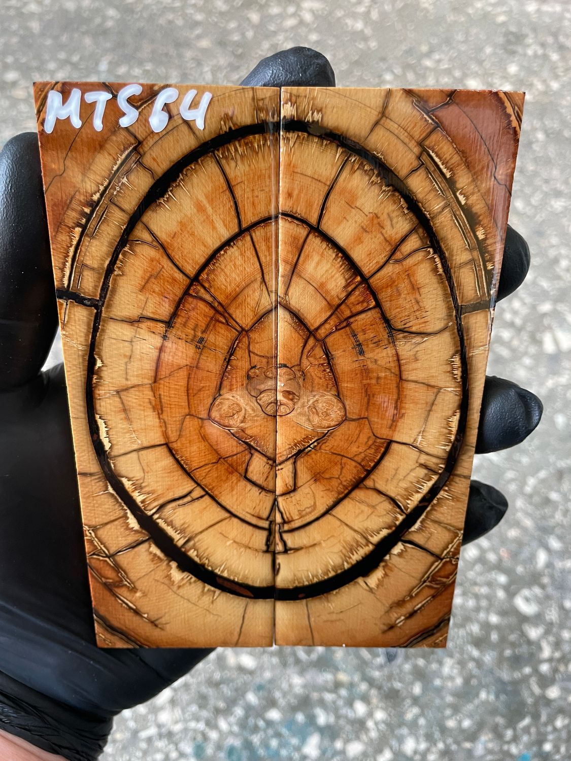 Mammoth tusk knife scales 5.31-1.85-0.39 inch MTS64