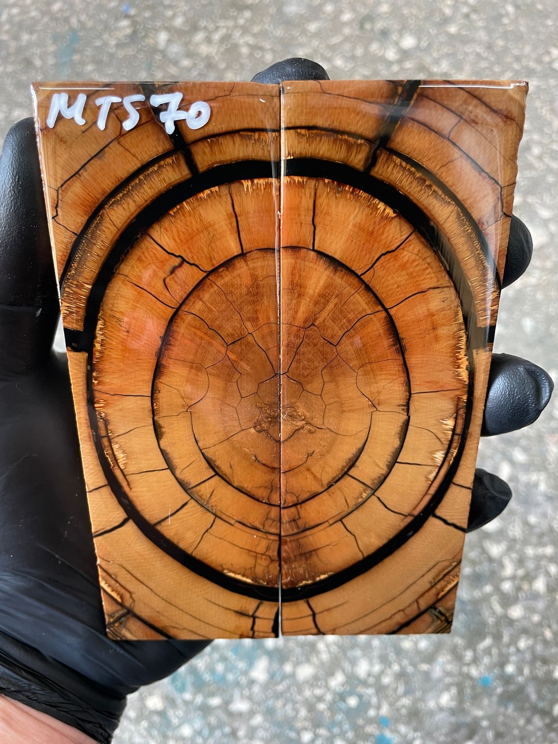 Mammoth tusk knife scales 5.35-1.85-0.35 inch MTS70